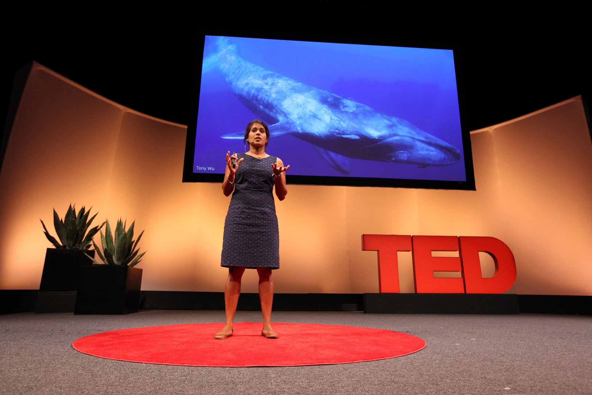 Dr. Asha de Vos: Championing Sri Lanka’s Ocean Conservation on the Global Stage