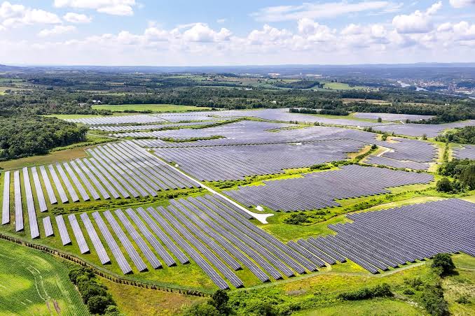 Renewable Energy Group Calls for Budget Relief to Address Solar Sector Challenges
