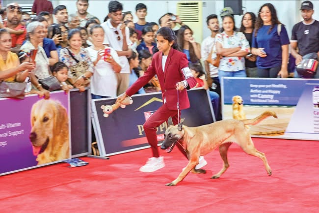Pet Expo 2026 Concludes at BMICH with Strong Turnout of Pet Enthusiasts
