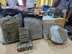 Sri Lanka Customs Seizes Drugs Worth Over Rs. 60 Million from Nine International Parcels