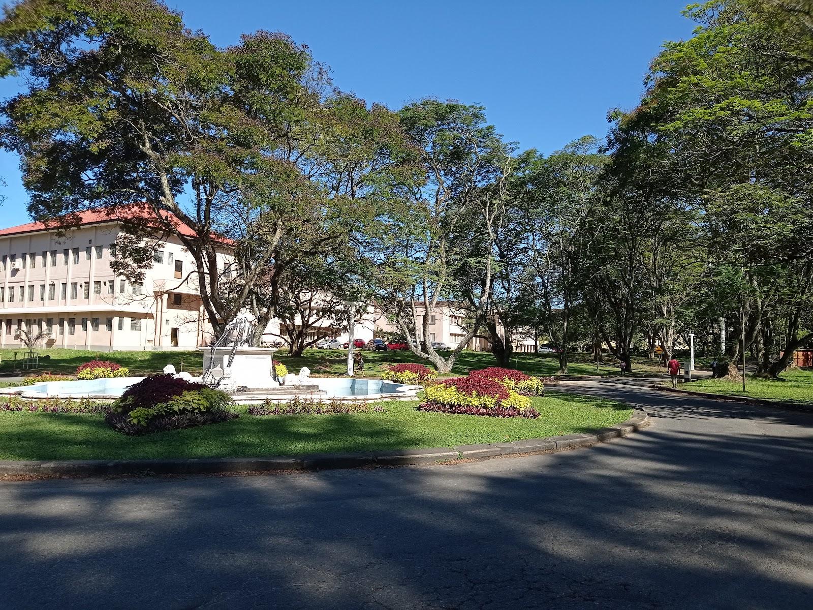 University of Peradeniya Suspends Academic Activities Amid Adverse Weather Conditions