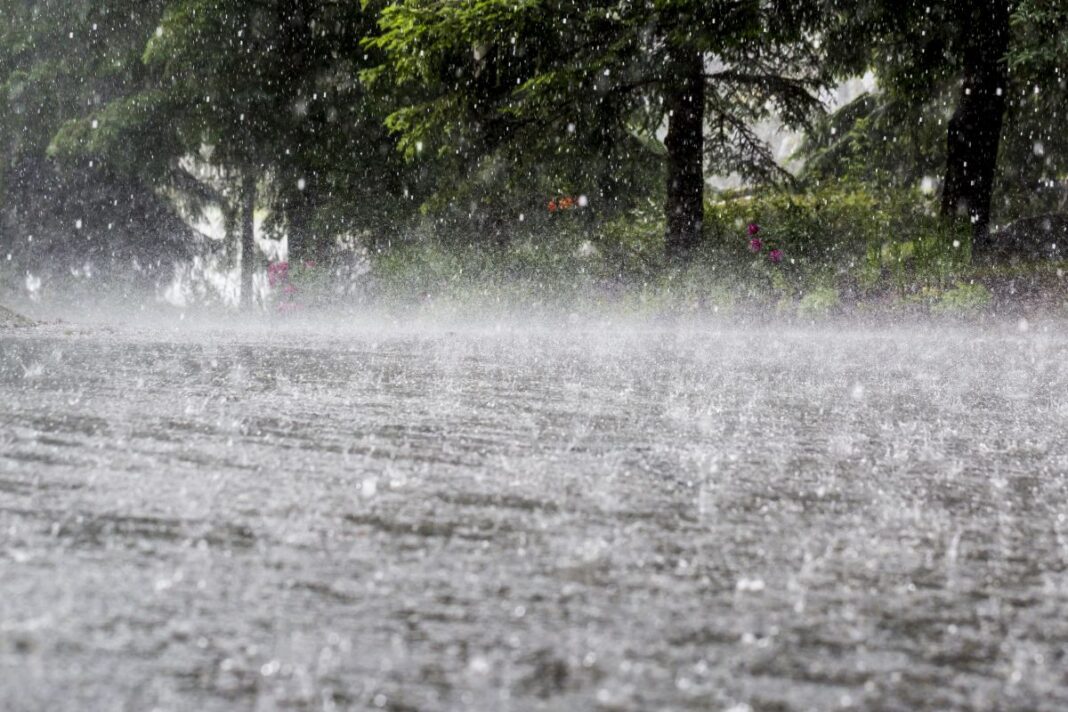 Kegalle District Records Over 100mm Rainfall