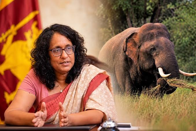 SJB Environmentalist Criticises Government over Kawanthissa’s Death, Power Cuts and Public Services