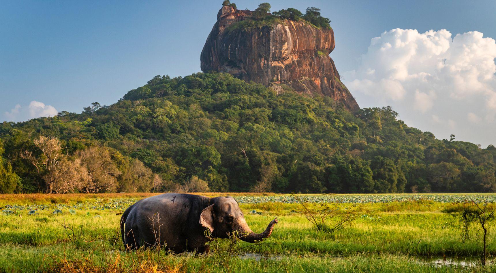 Sri Lanka Wins Double at World Travel Awards 2026